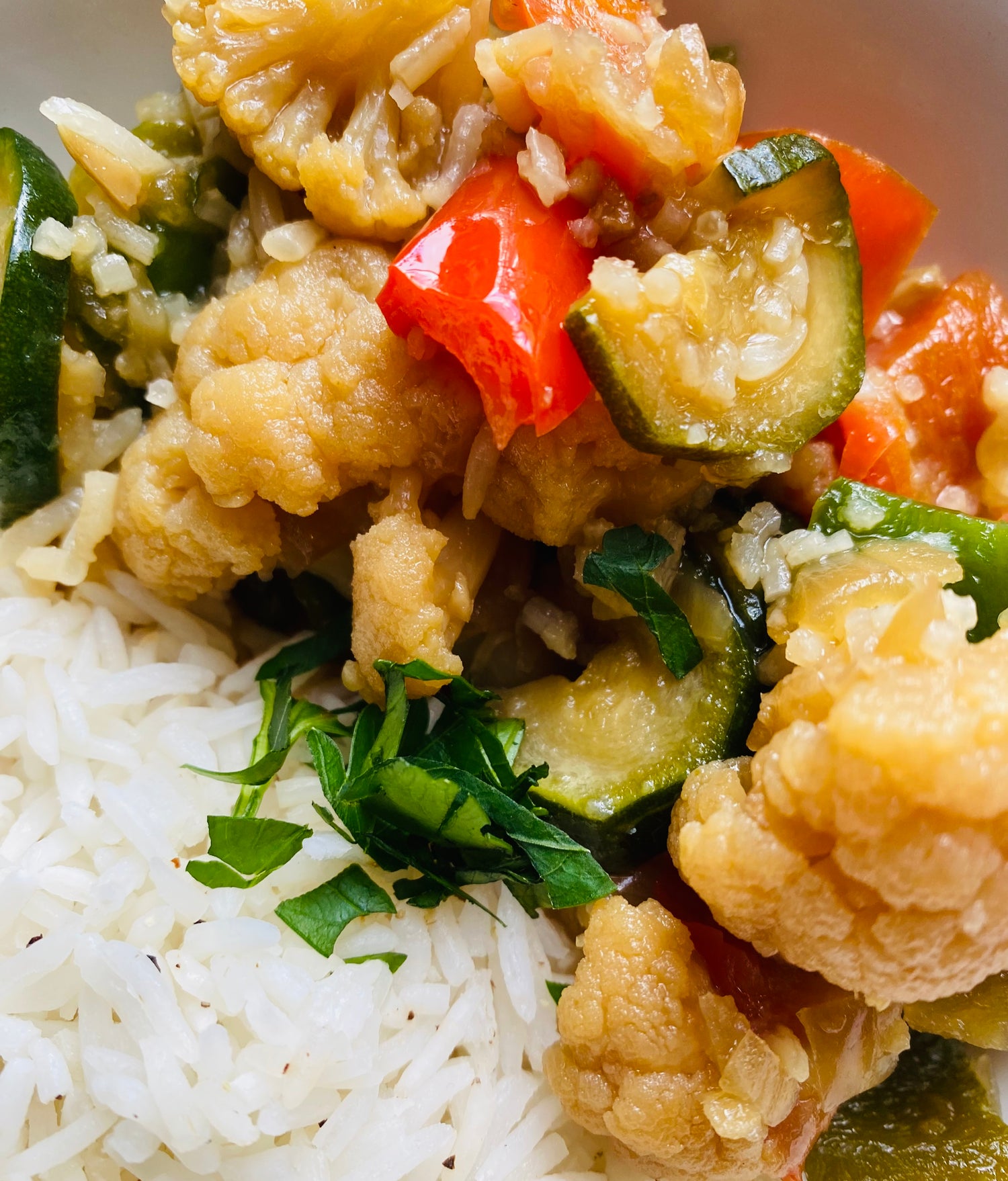 Plant Based/Vegetarian